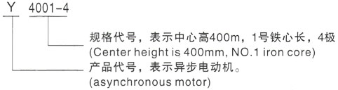 西安泰富西玛Y系列(H355-1000)高压YJTFKK4006-2/500KW三相异步电机型号说明