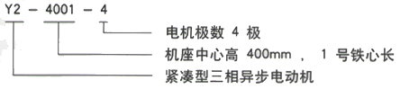 YR系列(H355-1000)高压YJTFKK4006-2/500KW三相异步电机西安西玛电机型号说明